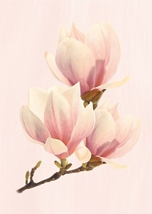 Агата D роз 25*35