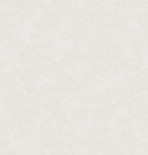 Обои Erismann 60676-04 Andrea 1,06*10м 