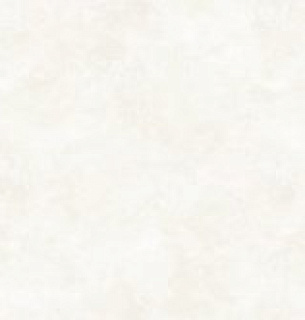 Обои Victoria Stenova 989771 Belmond 1.06*10м