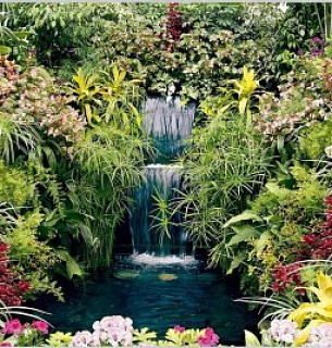 Фотообои Ботанический сад 392*260