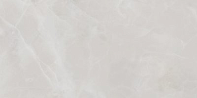 Плитка керамическая Almaceramica Риволи/Rivoli TWU09RVL007 249*500*7,5