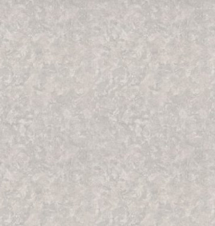 Обои HomeColor 72523-48НС 1,06*10м   