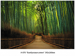 Фотообои Бамбуковая аллея 392*260