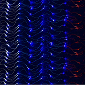 Гирлянда электронная "Сетка", 144LED, 1,6x1,6м, "Триколор", прозрачный провод, 220В СНОУ БУМ 