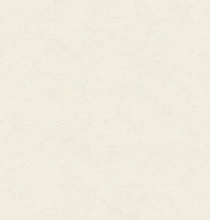 Обои NewAGe 8893-22NA 1,06*10м   