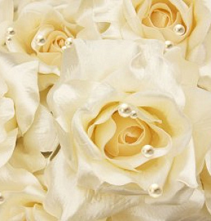 Фотообои Жемчужные розы 400*270 холст