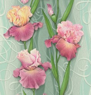 Обои Ирисы 757567-12