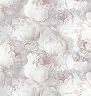 Обои Victoria Stenova 585332 Peony 1.06*10м  