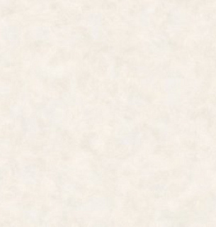 Обои AnturAGe 8727-11AN Anri 1,06*10м