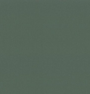 Обои Trend Color 72377-77ТС 1,06*10м  