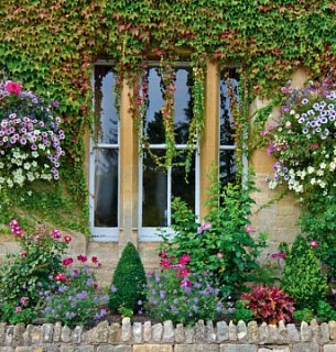 Фотообои D2-003 Палисадник 300х270 см