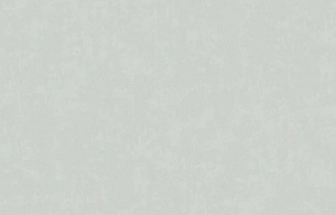 Обои Erismann 60625-02 Spectrum 1,06*10м 