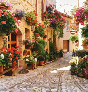 Фотообои Цветочная улочка 294*260