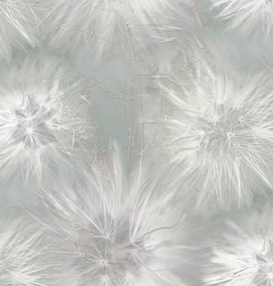 Обои Victoria Stenova 286813 Amazing 1.06*10м 