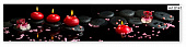 Фартук кухонный Фартук (2800х610х6мм) МДФ высокоглянц Panda art.0141