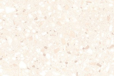 Пальмира беж. верх 20*30