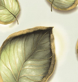 Обои Monte Solaro 9328-00 Гербарий 1,06*10м