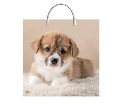 Пакет Мой дружок, с пластиковой ручкой, 35*36 см, 85 мкм ПВД 568-121