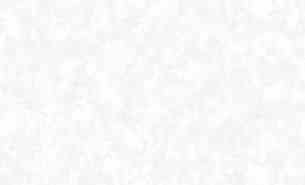 Обои Erismann 60613-03 Amur 1,06*10м 