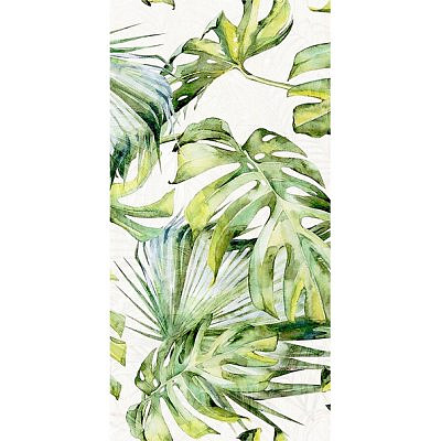 Фёрнс салатный (07-00-5-18-00-81-1605) 30х60