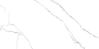 6260-0212 Керамогранит Гордость / Pride Белый 30x60 _ 1\46,08