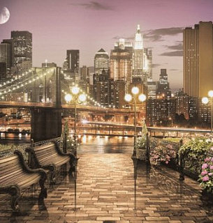 Лунный свет 300*270