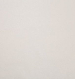 Обои Home Color 71822-23НС 1,06*10м