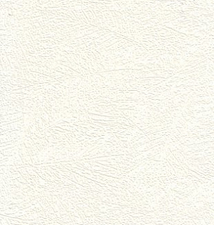 Обои под покраску ЕвроДекор Casa Alpina 1-12-012ПФ 1,06х25 м