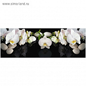 Фартук кухонный Белая орхидея (2070х695х3мм)