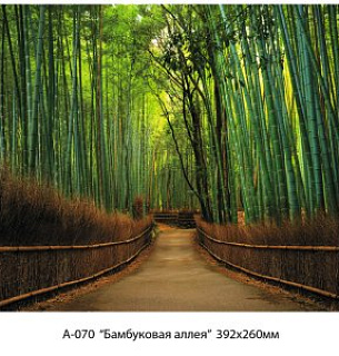 Фотообои Бамбуковая аллея 392*260