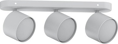 Светильник настенно-потолочный Feron ML213 белый GX53 41478