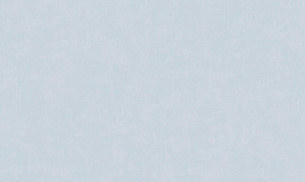 Обои Erismann 60625-09 Spectrum 1,06*10м 