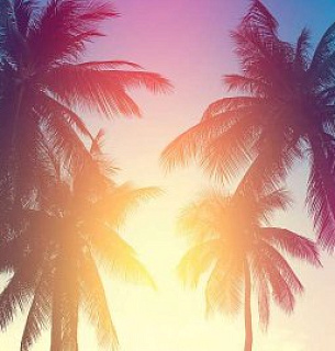 Фотообои К-052 Лето 400*270