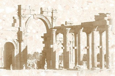 Пальмира D1 20*30