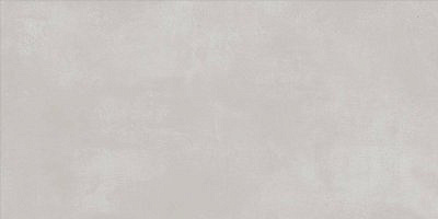 Плитка керамическая KERLIFE RUS Свет жемчужный/LUCE PERLA 31,5*63