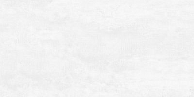 Flagman Керамогранит светло-серый  K952677LPR01LPER 59,7*119,7лаппатированный 