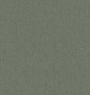 Обои Erismann 61041-06 Aeris 1,06*10м  