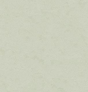 Обои AnturAGe 8892-27AN 1,06*10м 