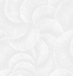 Обои NewAGe 8842-21NA 1,06*10м  