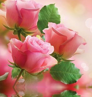 Фотообои Нежность 200*270