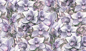 Обои Simple  71836-65SP Orchidea 1,06*10м