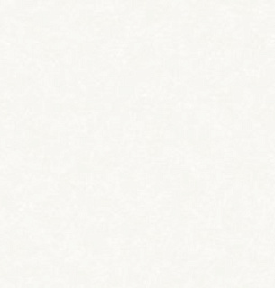 Обои NewAGe 8744-12 Solar 1,06*10м