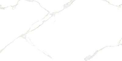 Плитка керамическая AltaCera Элементо Каррара белый/Elemento Bianco Carrara WT9ELT00 250*500