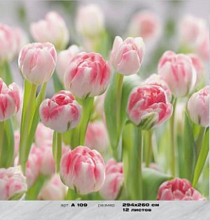 Фотообои А109 Тюльпаны 294*260