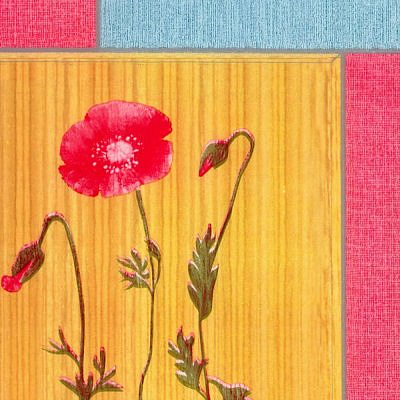 Пленка самоклеющаяся  45см*8м 8182