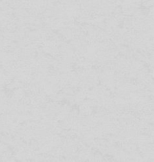 Обои NewAGe 8893-26NA 1,06*10м   