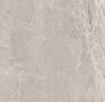 Nostalgic Silver Керамогранит 60х60 Полированный