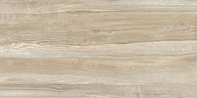 Плитка керамическая Almaceramica Вудмикс /Woodmix TWU09WDX404 249*500*7,5 