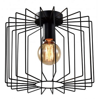 Светильник потолочный  5093-201 Eva 1 x E27 40 Вт лофт-кантри для натяжных потолков