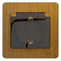 Розетка 1-м с заземлением защитные шторки с крышкой в сборе дер. дуб SchE GLS000546